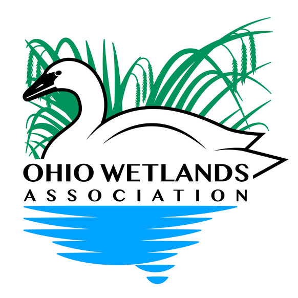 OWA Logo Final-color-whtbg
